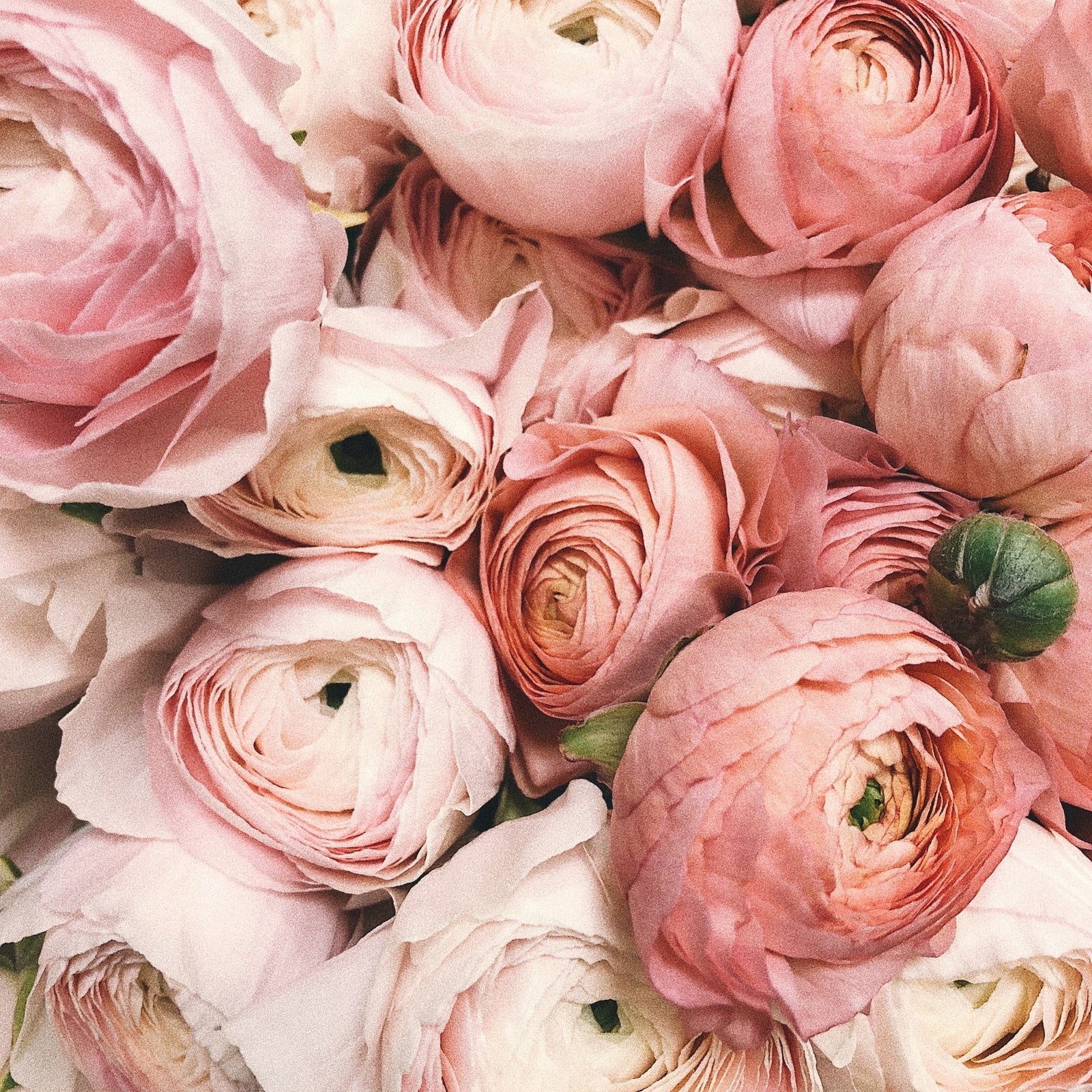 Spring Moodboard - smycken inspiration